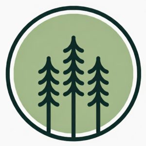 IMG_20241126_221854_498 (1)